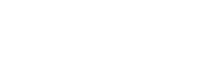 Verinorm